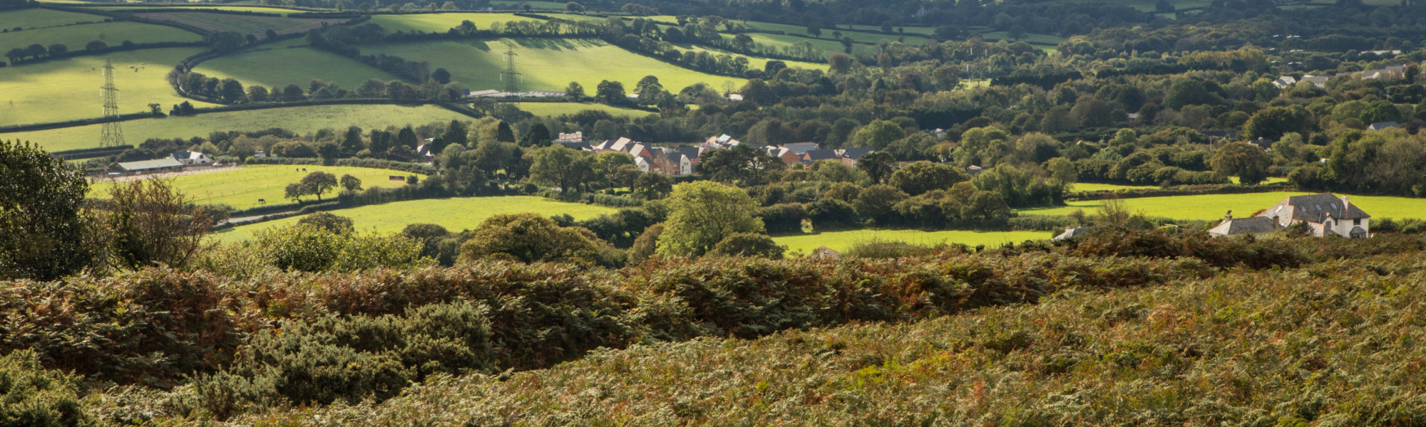 Land & Planning banner